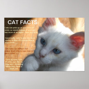Cat facts! poster
