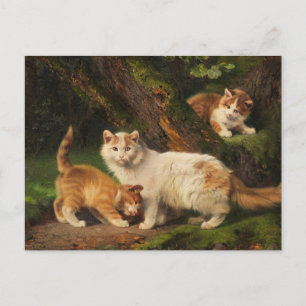Cat Family Playing   Julius Adam the Younger Postcard