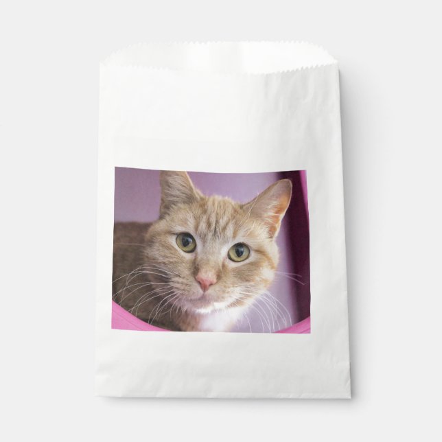 Cat Favour Bag (Front)