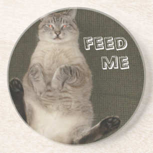 Cat "FEED ME" Coaster