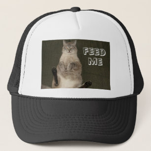 Cat "FEED ME" Hat