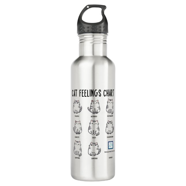 Cat Feelings Chart 710 Ml Water Bottle (Front)