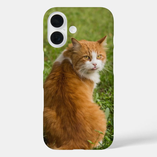 Cat, Feline, Animal Case-Mate iPhone Case (Back)