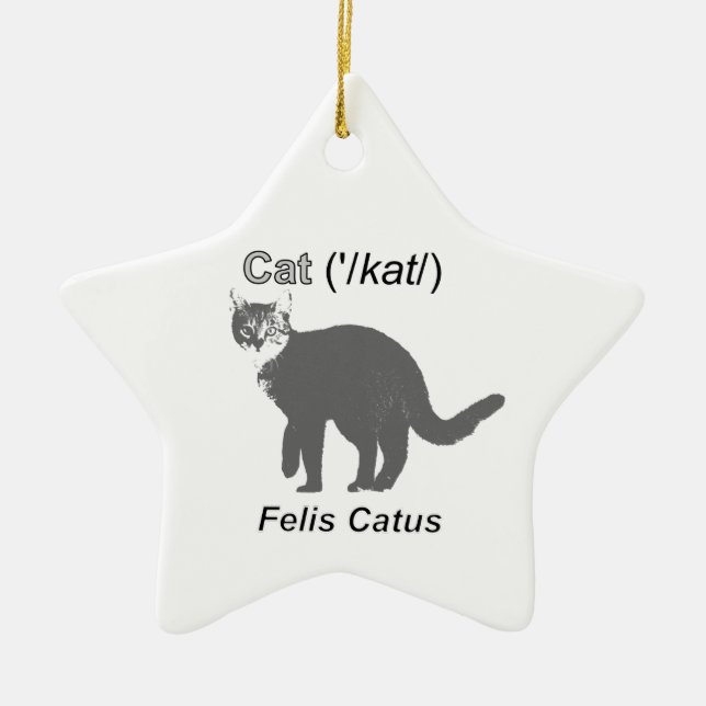 Cat Felis Catus Ceramic Ornament (Front)
