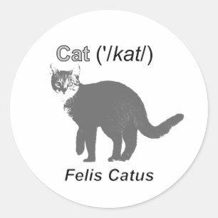 Cat Felis Catus Classic Round Sticker