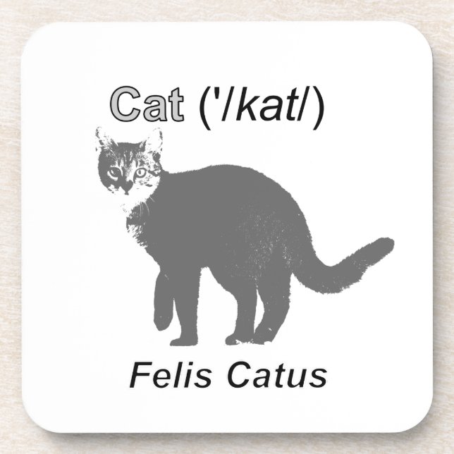 Cat Felis Catus Coaster (Front)