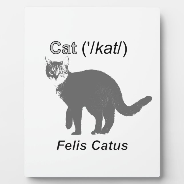 Cat Felis Catus Plaque (Front)