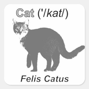 Cat Felis Catus Square Sticker