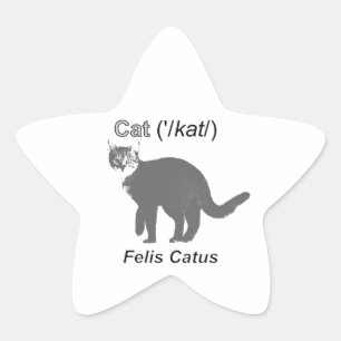 Cat Felis Catus Star Sticker