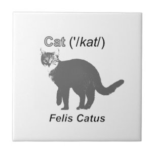Cat Felis Catus Tile
