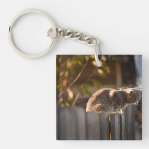 Cat, Fence, Wooden Key Ring
