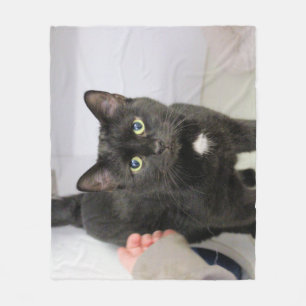 Cat  fleece blanket