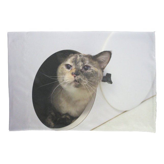 Cat Fleece Blanket Pillowcase (Front)