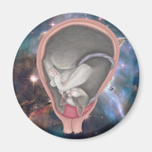 Cat Foetus Magnet