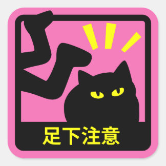 CAT FOOT CAUTION STICKER