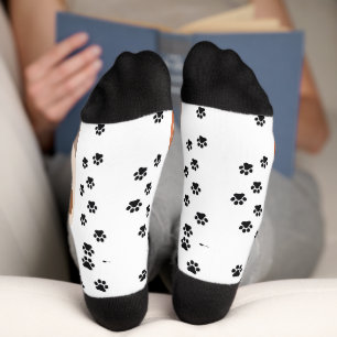cat foot  socks
