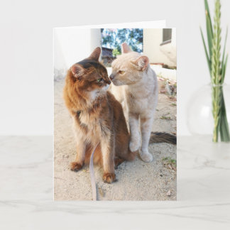 Cat Friends - Cute Cat Lovers Romance  Card