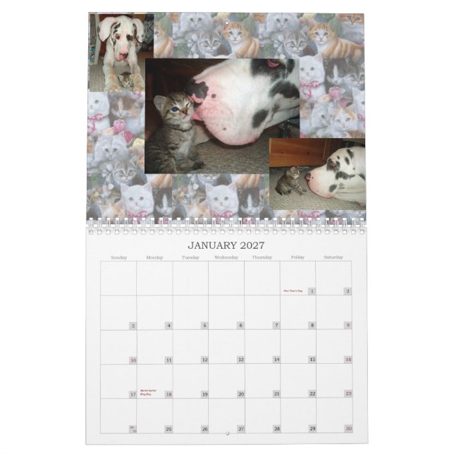 CAT FRIENDS FROM THE INTERNET CALENDAR (Jan 2027)