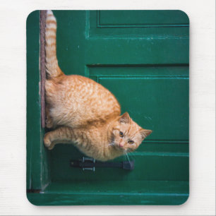 cat, front door, pet mouse pad