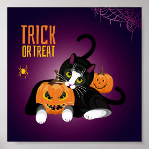 Cat fun at Halloween playing with the pumpkins Pos Poster