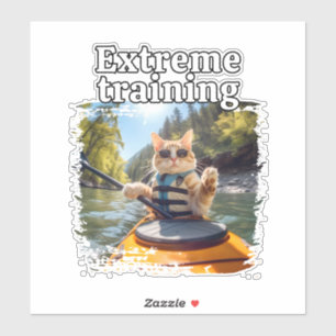 cat  funny kayak paddle