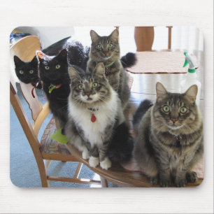 Cat Gang Mouse Pad