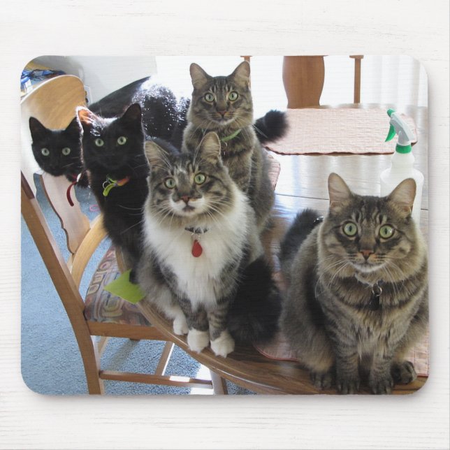 Cat Gang Mouse Pad (Front)