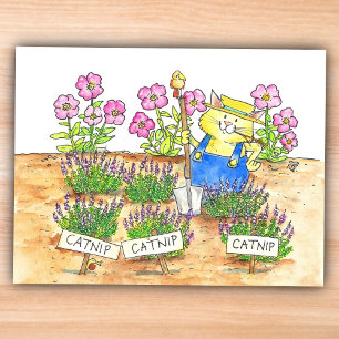 Cat Gardener  Postcard