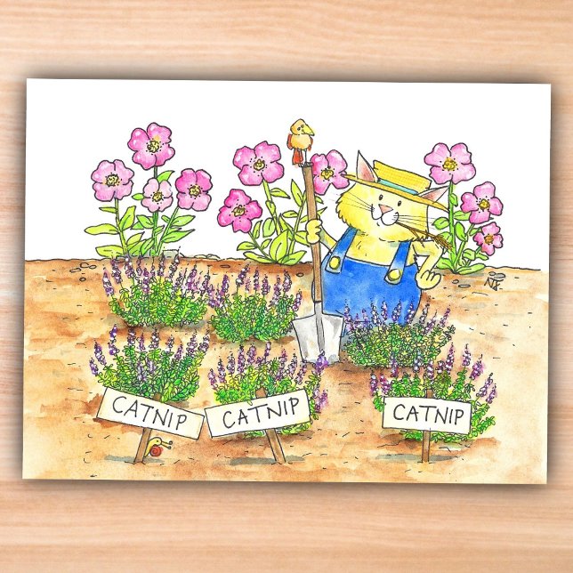 Cat Gardener  Postcard (Creator Uploaded)