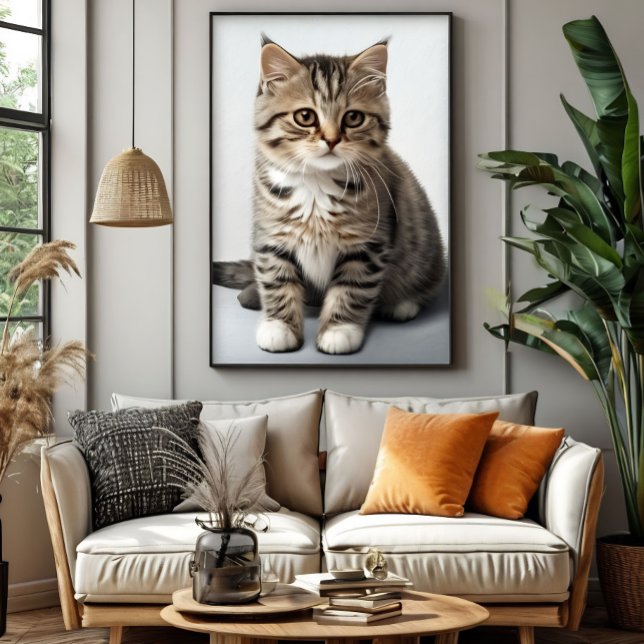 Cat Gaze Lost in Time Poster (Creator Uploaded)