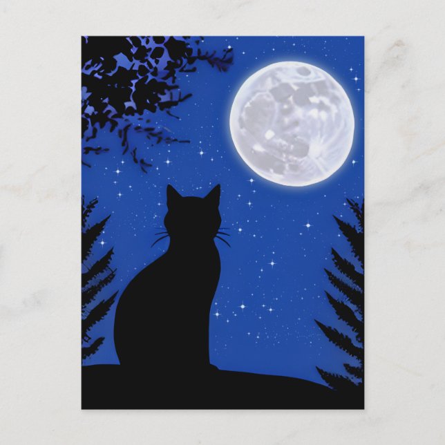 Cat Gazing at the Full Moon  Postcard (Front)