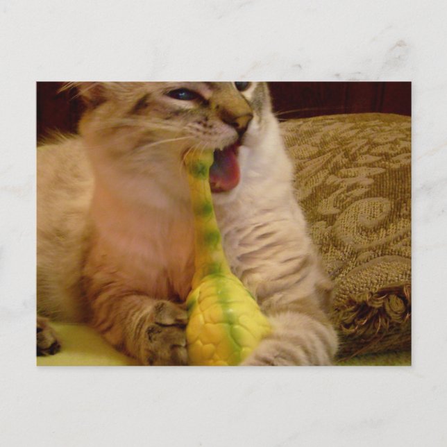 Cat gets dinosaur Postcard (Front)