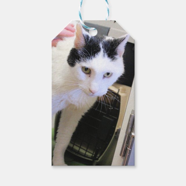Cat    gift tags (Front)