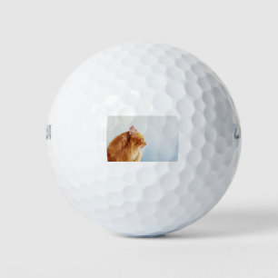 Cat Ginger Fluffy Cat Pet Cat Looks Animals Golf Balls