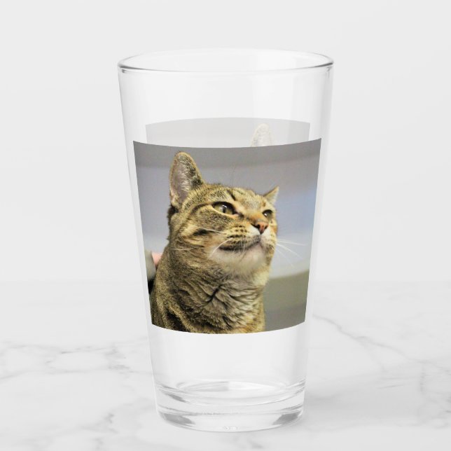 Cat  glass (Front)