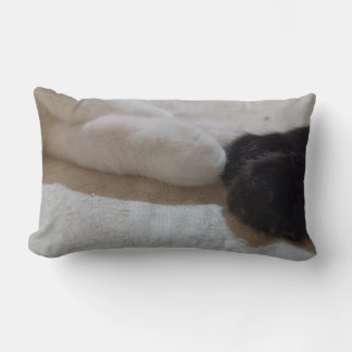 cat god cat man lumbar cushion