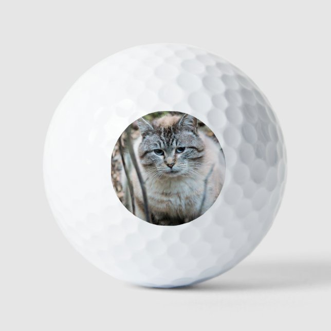 Cat Golf Balls (Front)
