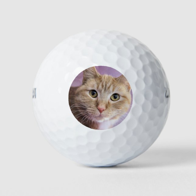 Cat Golf Balls (Front)