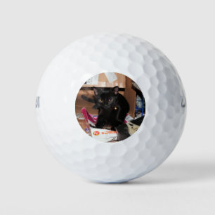 Cat Golf Balls