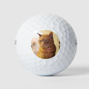 Cat Golf Balls