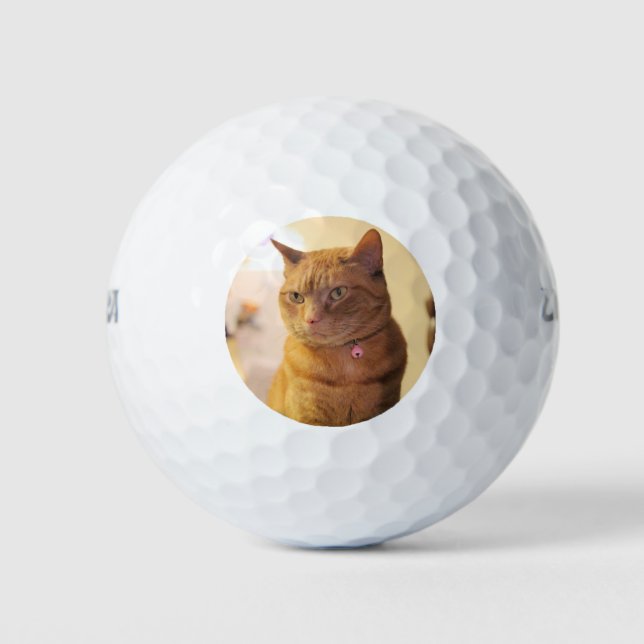 Cat Golf Balls (Front)