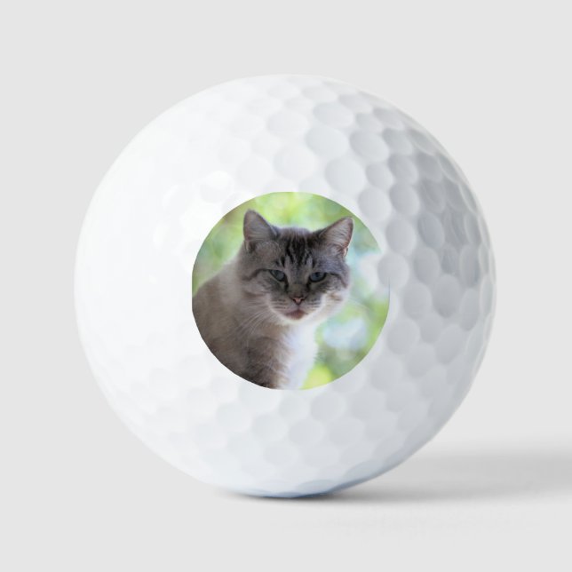 Cat Golf Balls (Front)