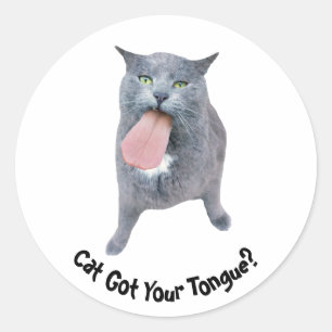 Cat Got Your Tongue? Classic Round Sticker