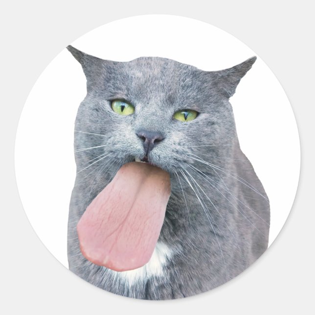 Cat Got Your Tongue? Classic Round Sticker (Front)