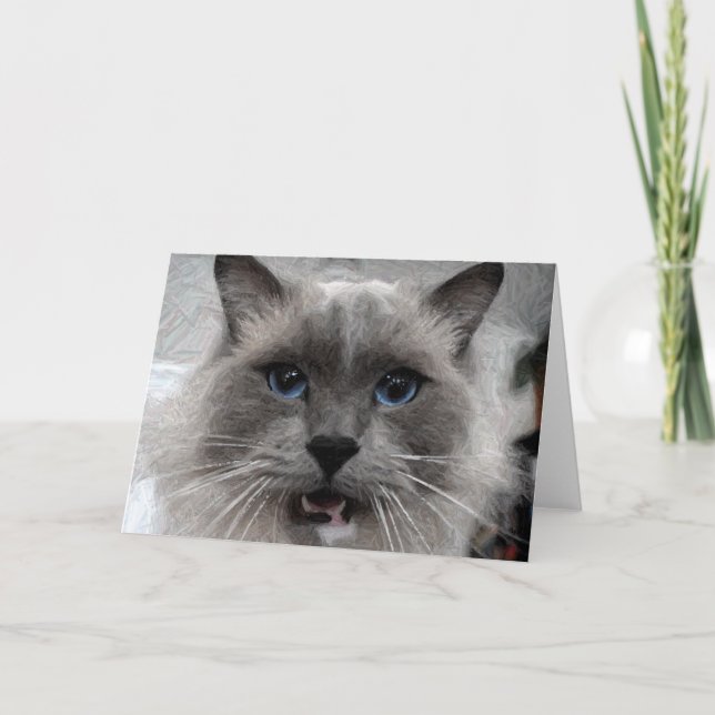 Cat greeting card (Front)