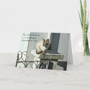 Cat Greeting Card with Quote