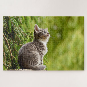 Cat Grey Kitten with a Green Pine Tree Jigsaw Puzzle