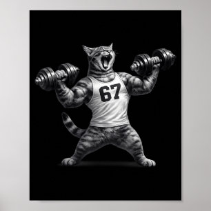 Cat gym workout funny 67 six seven meme pump kitte poster