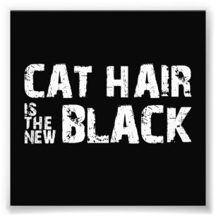 Cat Hair is the New Black Photo Print
