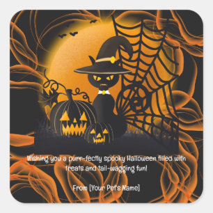 Cat Halloween  Pet in spooky costumes Square Sticker